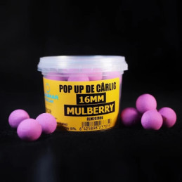 Pop Up Claumar Mulberry Purple