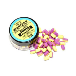 Wafters Bicolor Claumar