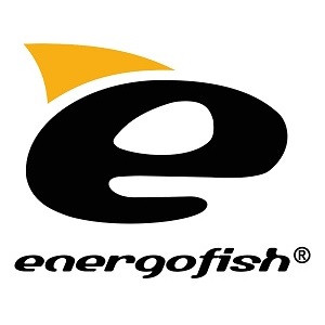 Energo Team